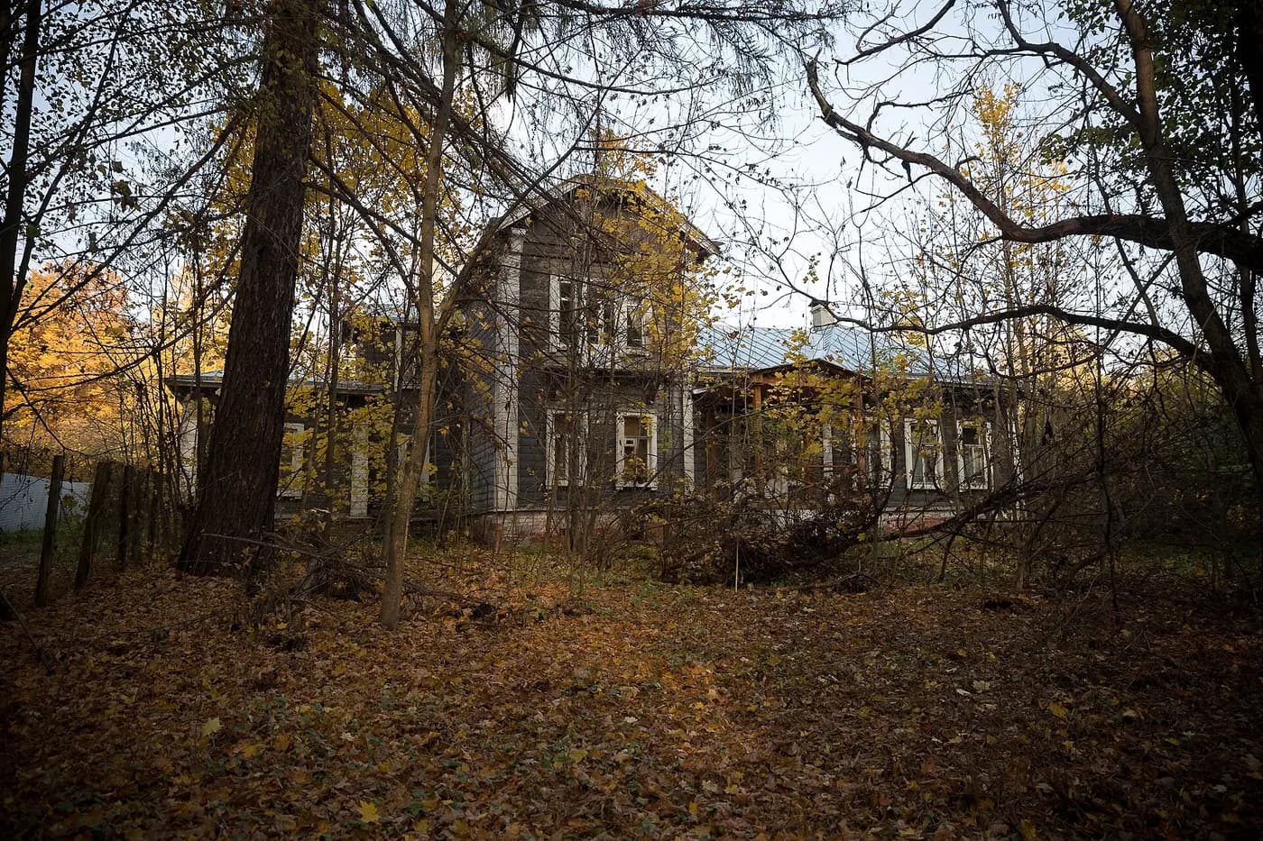 Усадьба Бугры осенью