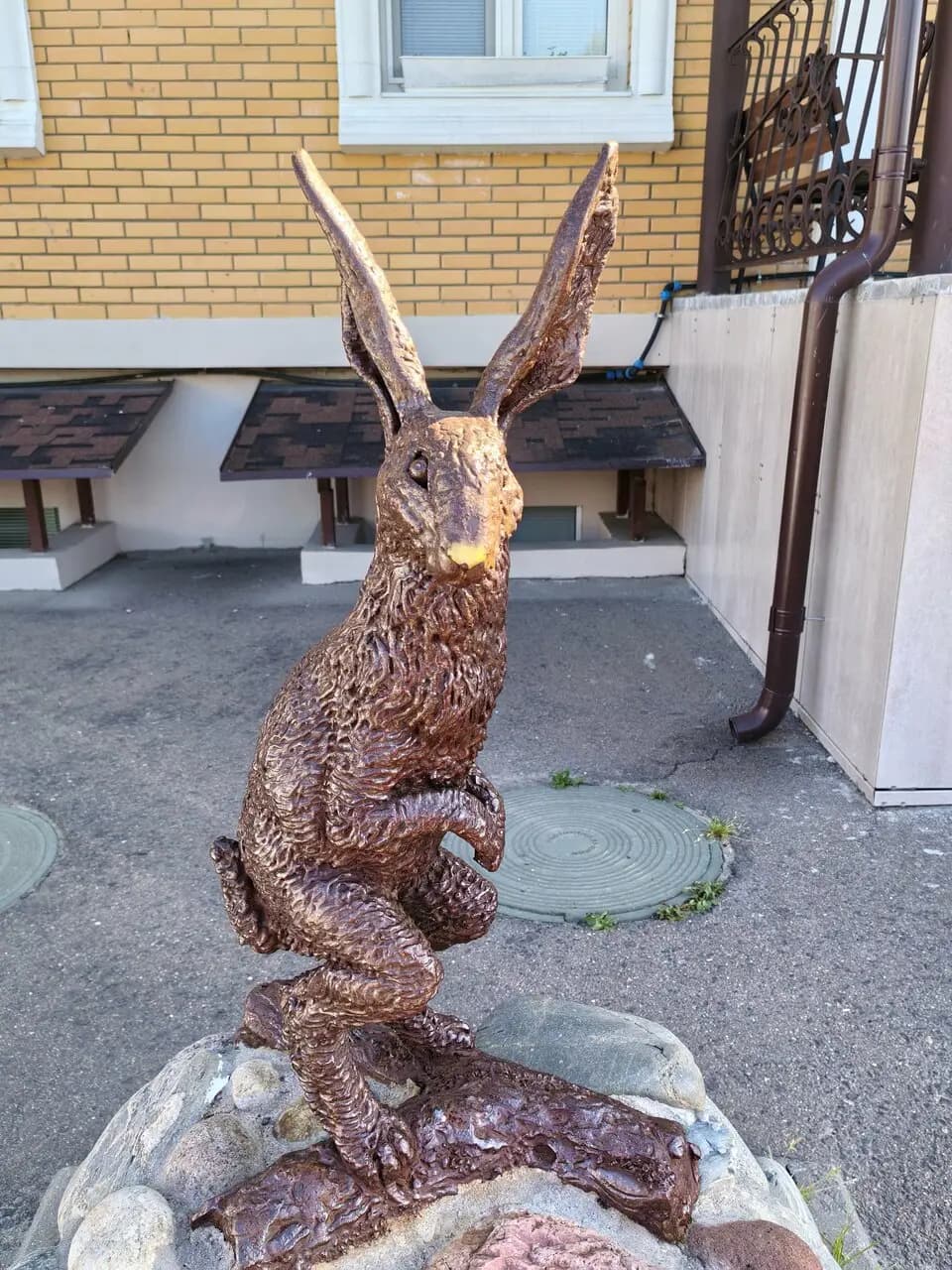 Бронзовый заяц крупным планом