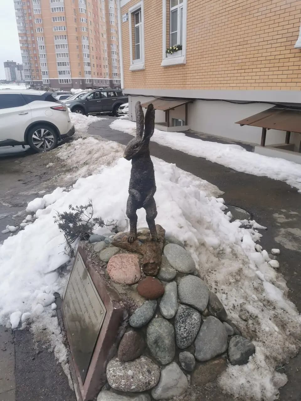 Заяц зимой