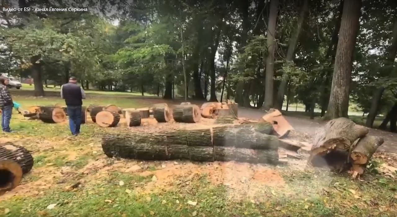 Белкинский парк в Обнинске рубят — щепки летят