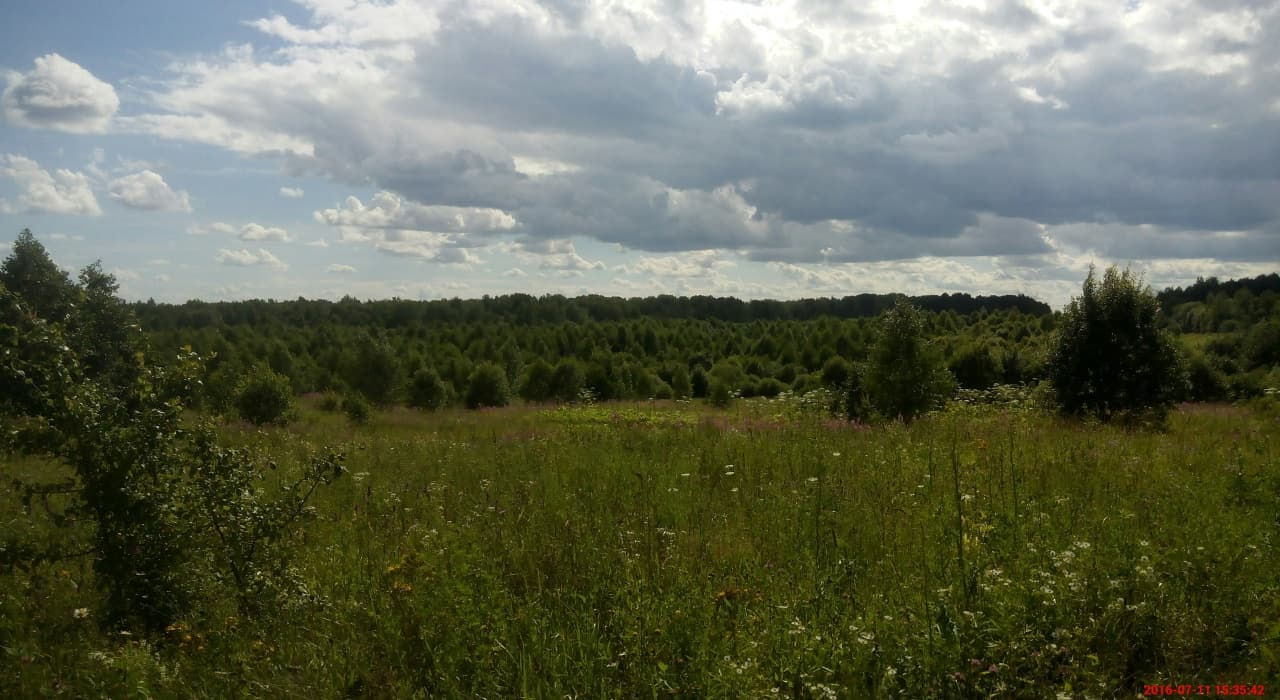 В Обнинске денежную компенсацию вместо участков выбрали 20 семей