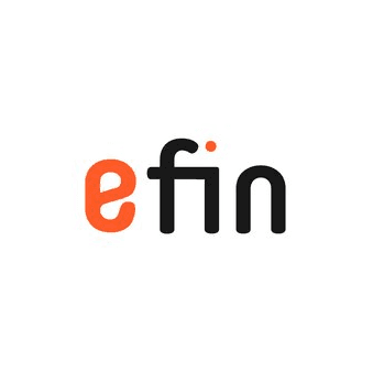 Логотип «efin»