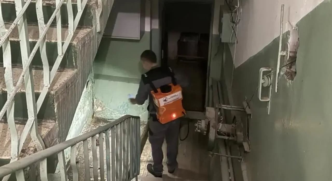 Жителей Обнинска избавляют от насекомых и грызунов