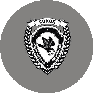 Логотип «ЧОО СОКОЛ»