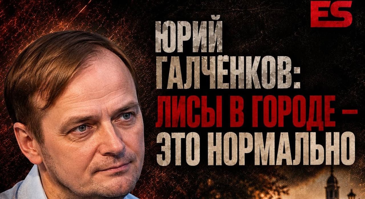 Специалисты уверяют, что появление лис в Обнинске - это нормально