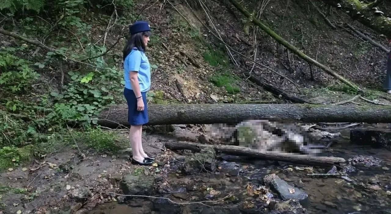 Установлена личность мужчины, чьё тело нашли в ручье Обнинска