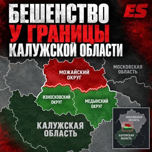 Невидимый труд калужских ветеринарных врачей сдерживает природный очаг бешенства